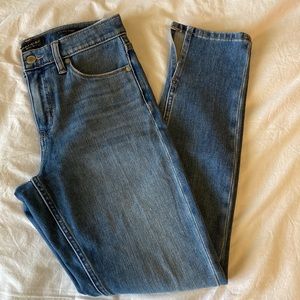 Banana Republic Skinny Jean